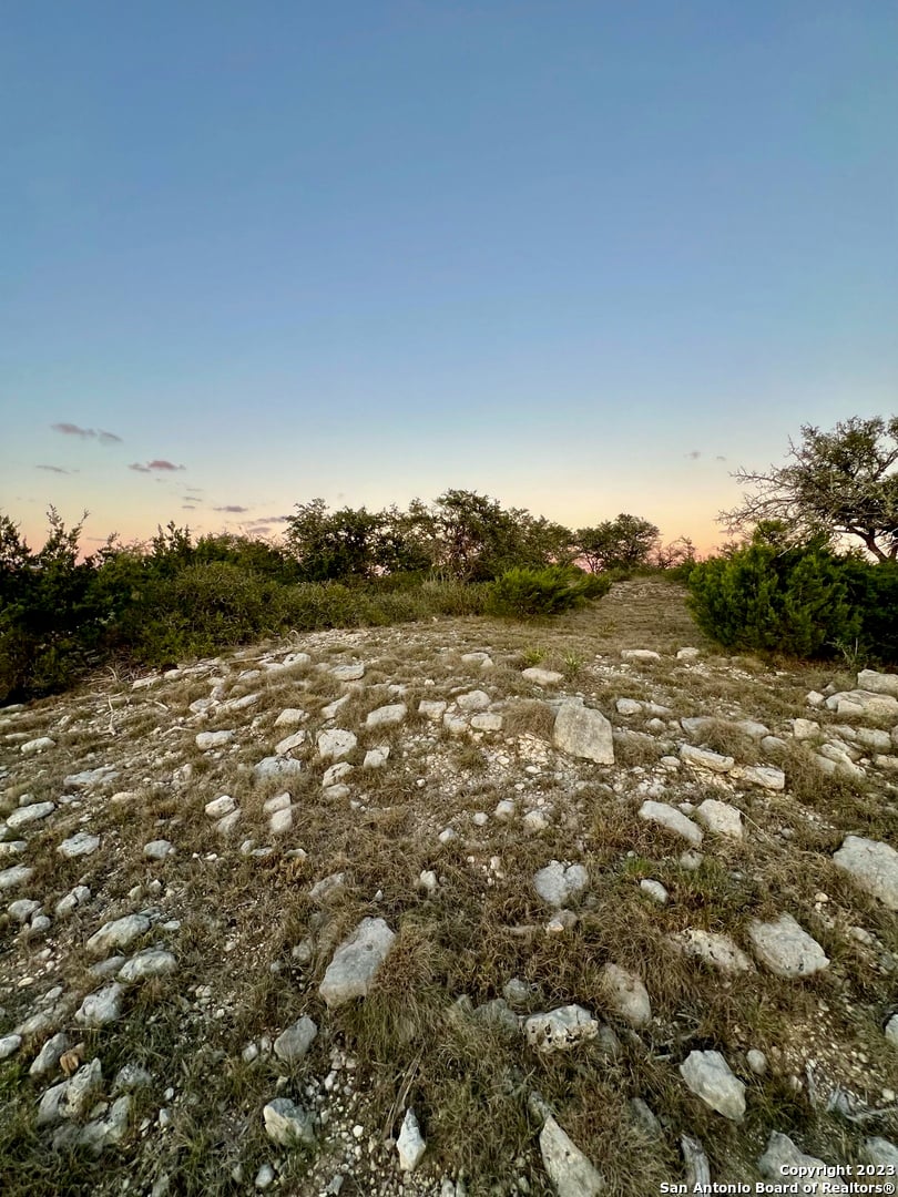 10202 Nina Ridge