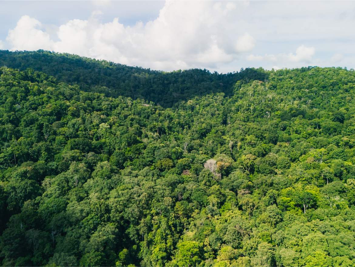 247 Acres of Riverfront Rainforest with Hospitality Potential - Sarangundí Eco-Development Sanctuary Near Corcovado