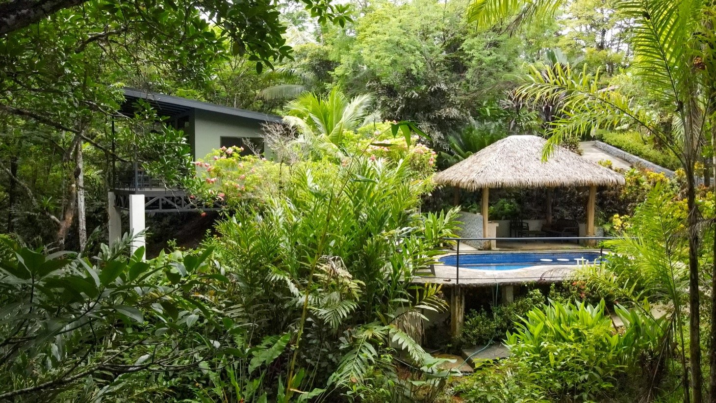 Modern House For Sale With Jungle View, Peaceful Stream, and Rental Cabins