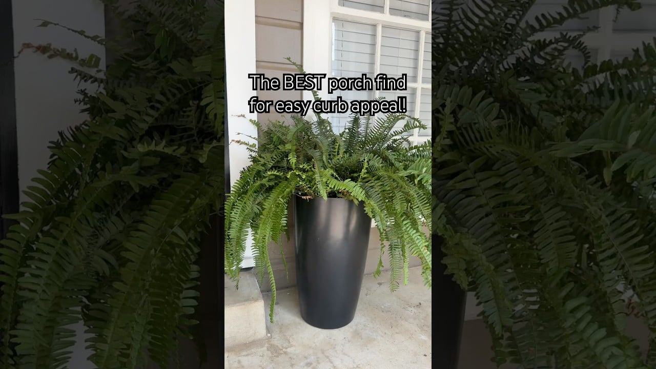 Easy Self-Watering Porch Planters | Low Maintenance Curb Appeal