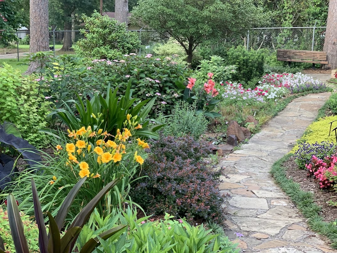 Top Landscaping Tips to Improve Curb Appeal in Cohasset