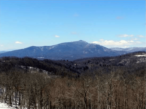 Mountain ridge above a leafless winter forest beneath a clear blue sky.