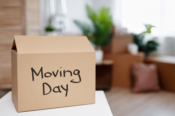 Moving box labeled “Moving Day” in front of a furnished living room.