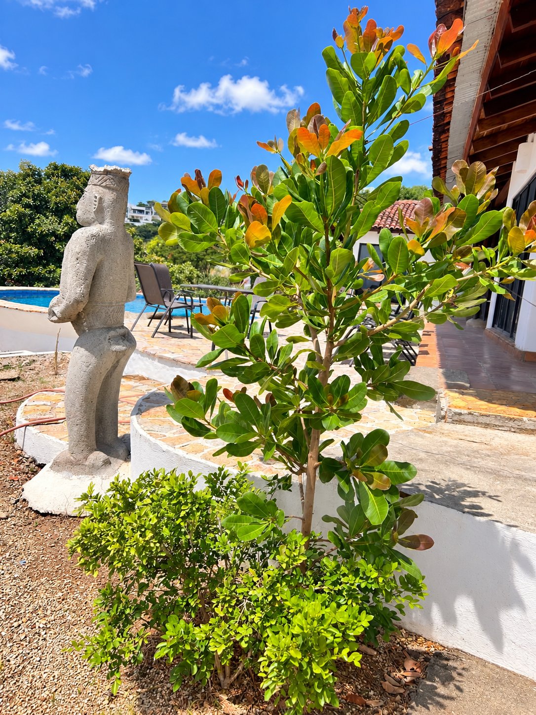 Casa Jabalí | 5-Bedroom Estate with 3 Titled Lots in Tamarindo