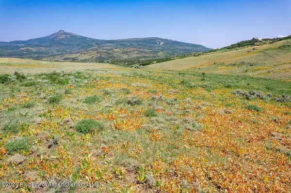 Open grassland dotted with wildflowers, with rolling hills and a mountain beyond.