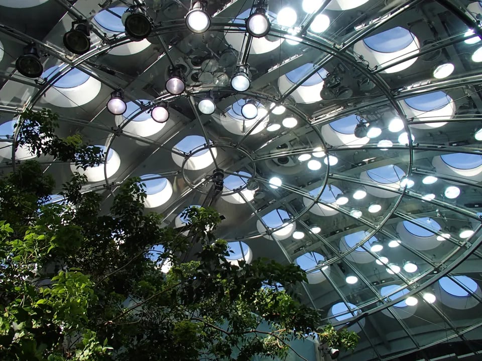 Interior view of the California Academy of Sciences rainforest dome with lush green trees and many circular skylights.