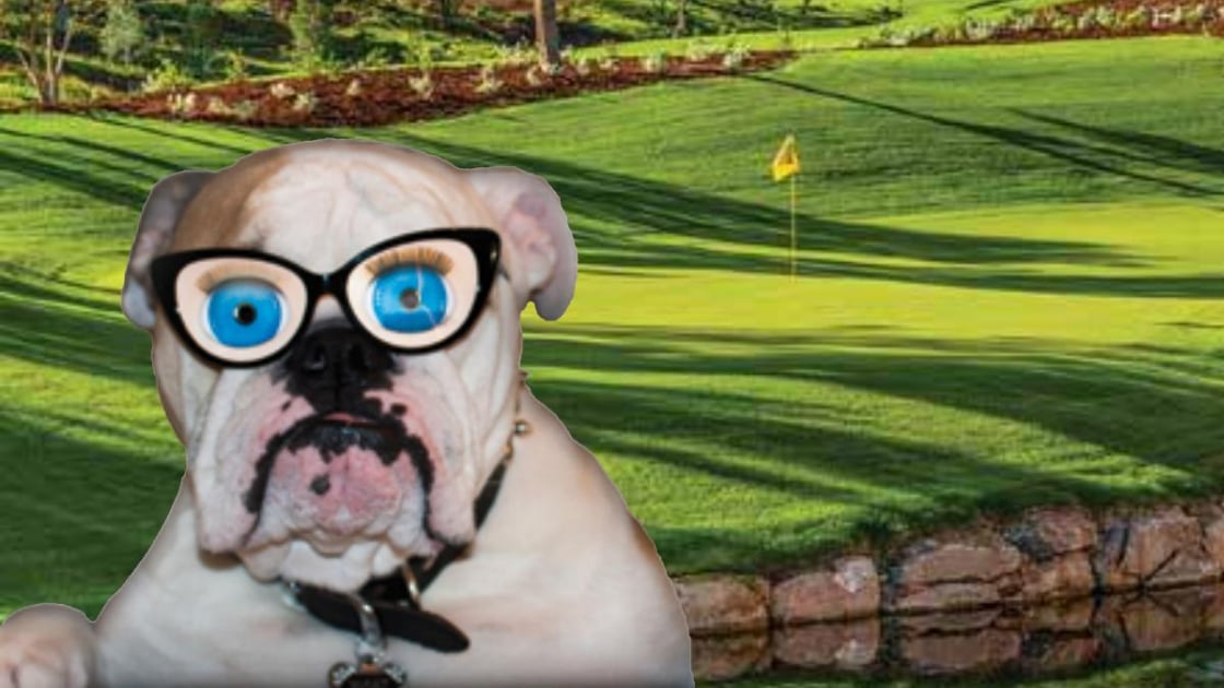 Local Events in Georgia’s Lake Country April 2026