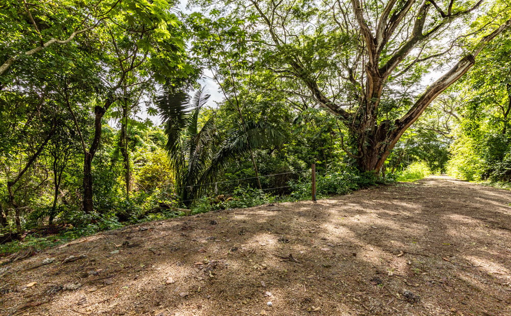 Wooded Jungle Building Lots, Nosara, Guanacaste