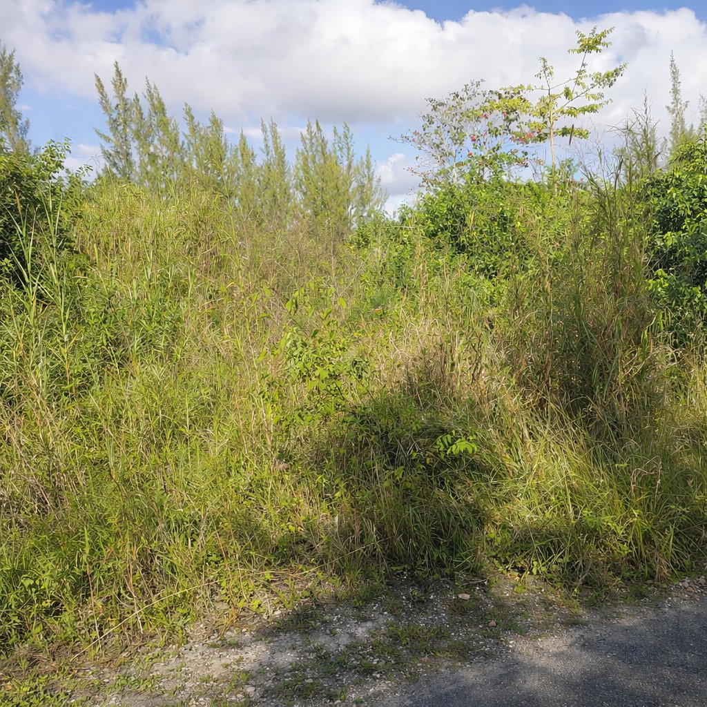 Lot 12 Adelaide Road 