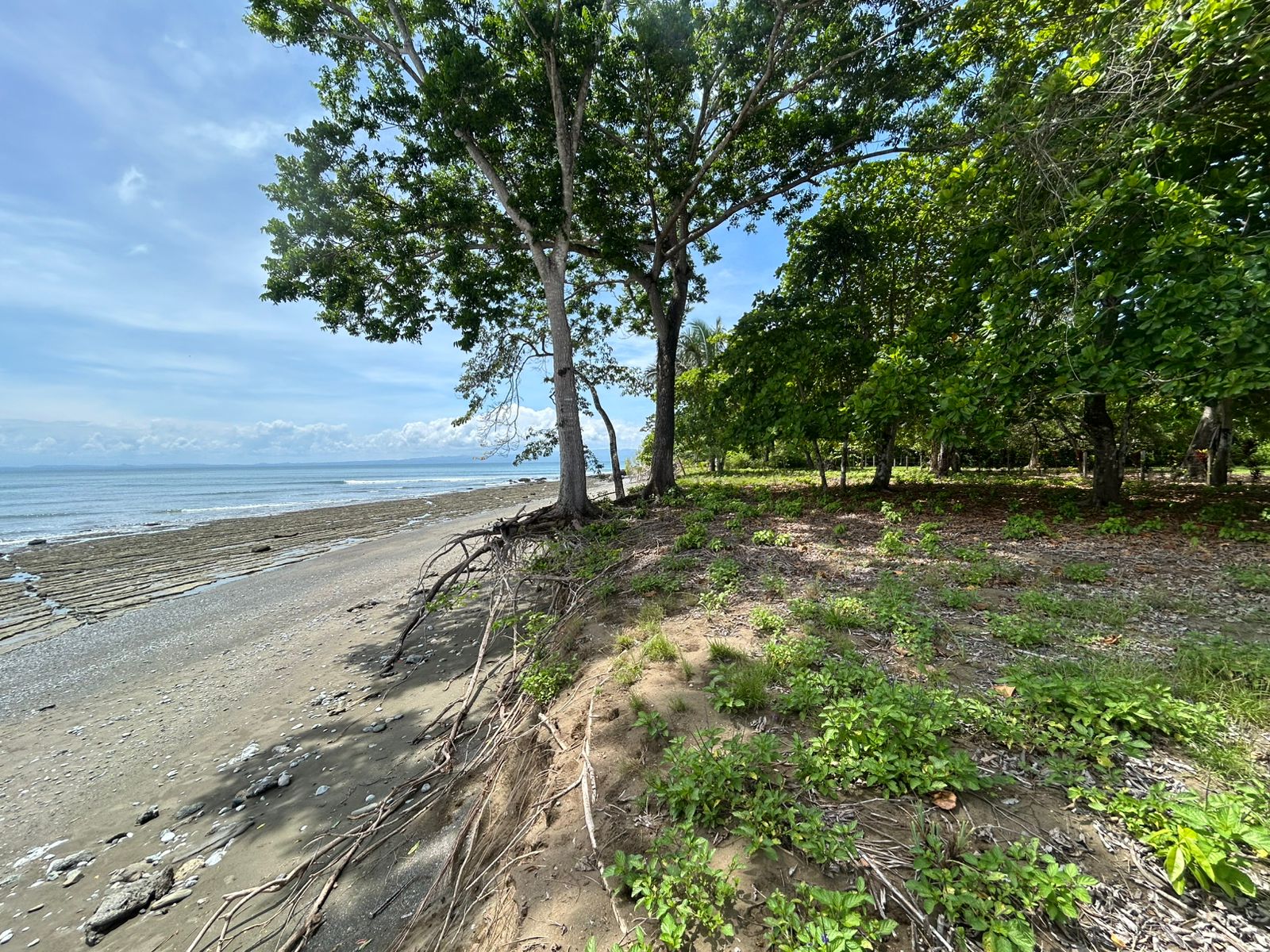 Unveil Your Dream Beachfront Sanctuary in Cabo Matapalo.