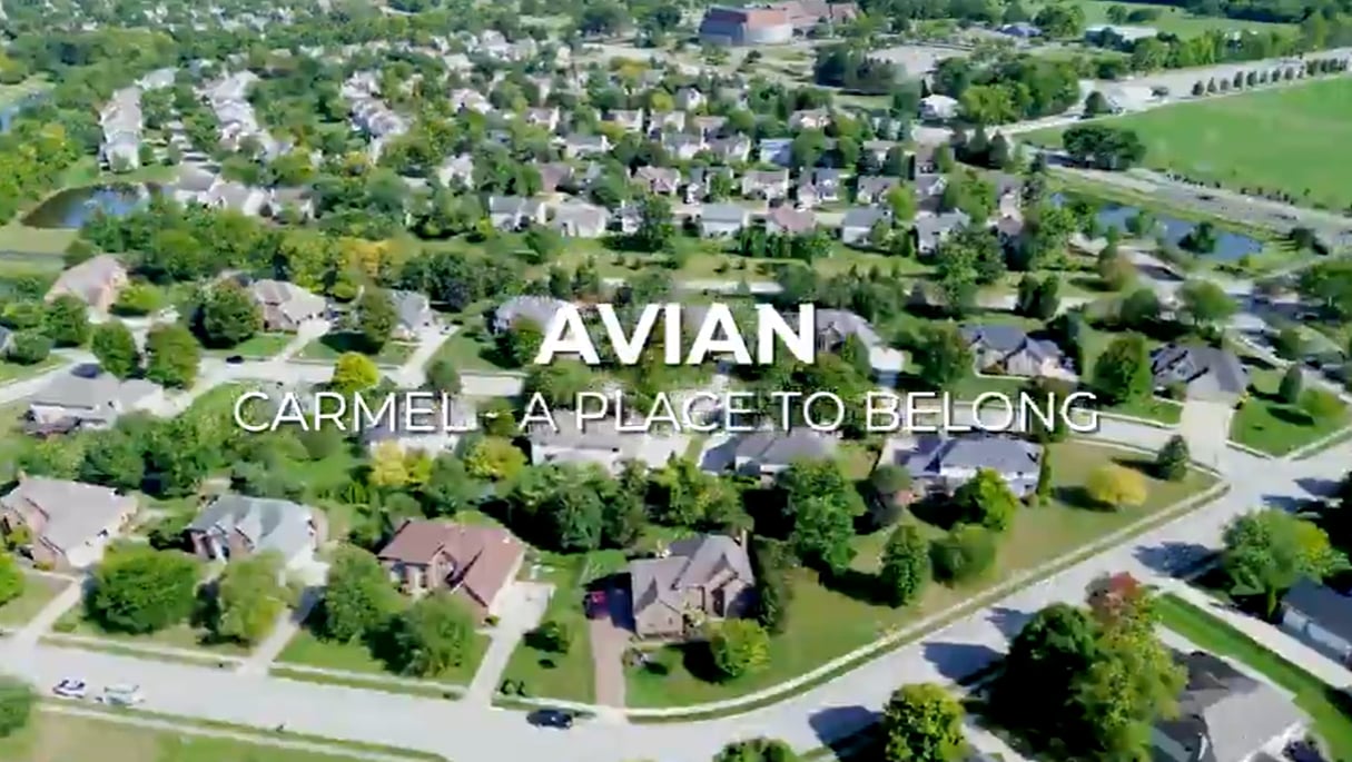 Avian Neighborhood 3 free music