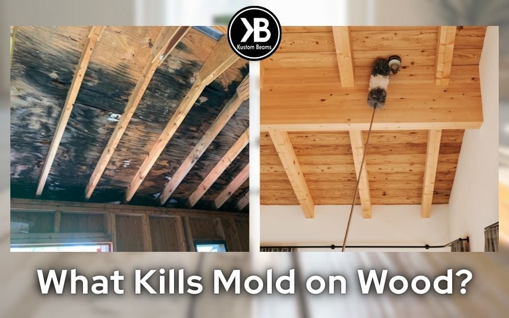 What kills mold on wood