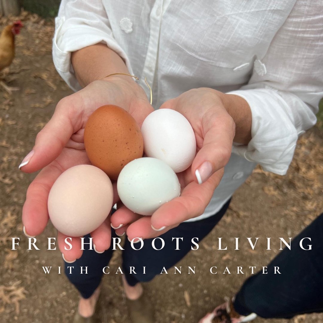 The Morning Egg Basket