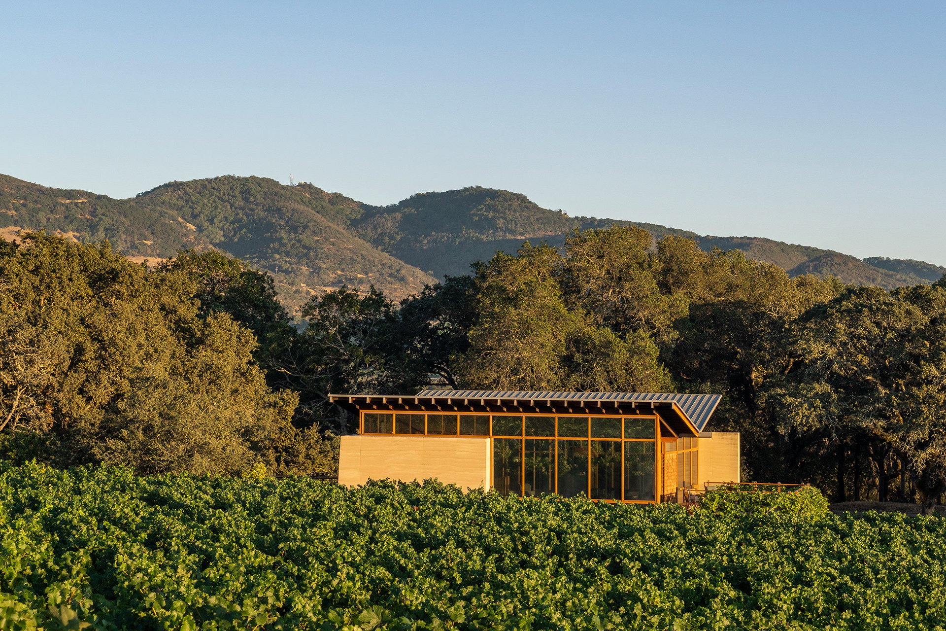 Meteor Vineyard Estate, Napa Valley