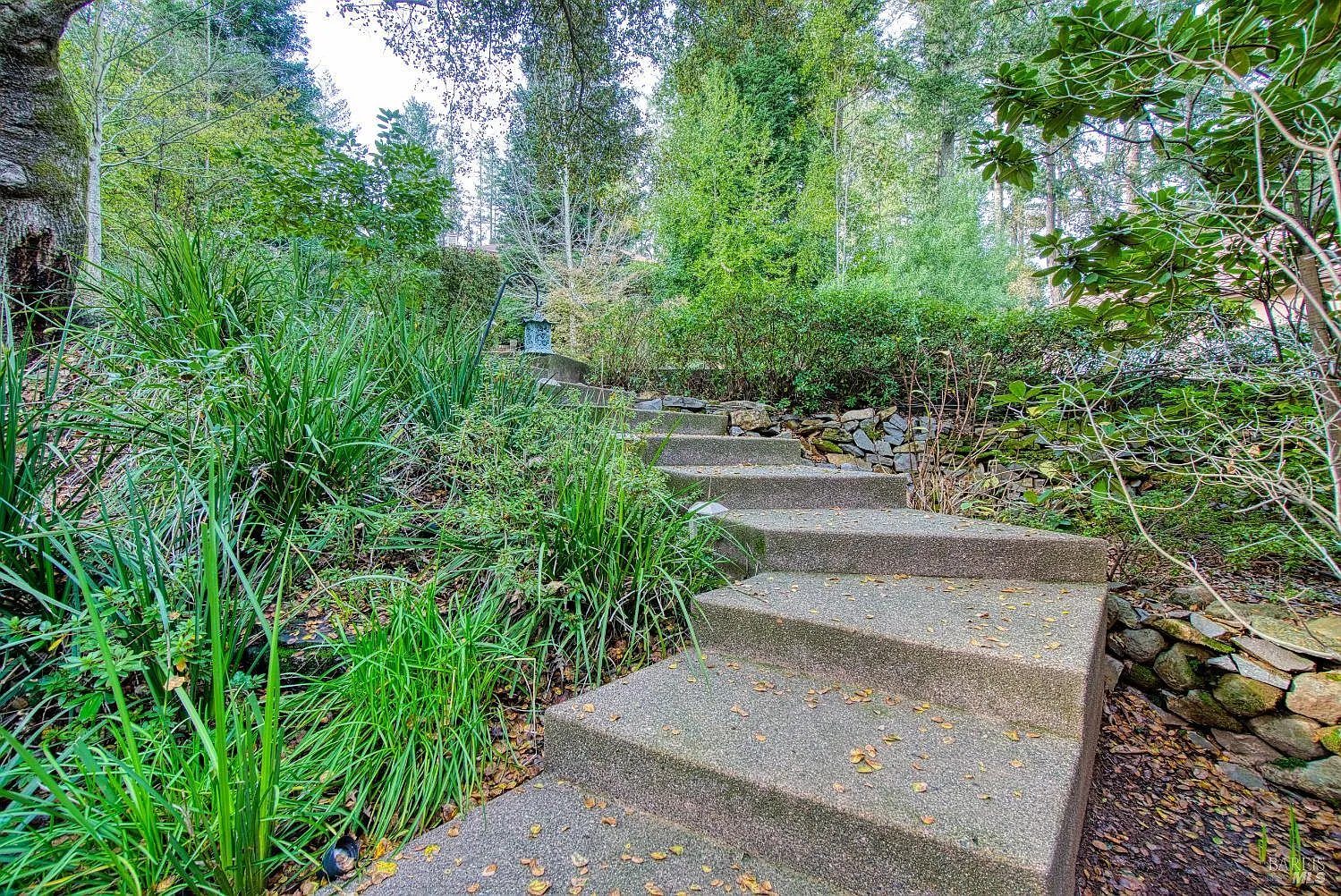 2703 Brush Creek Rd
