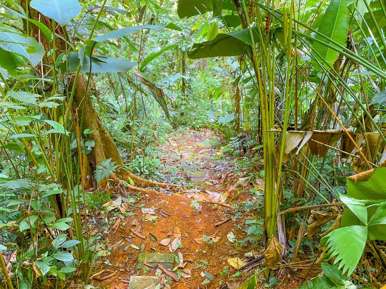 3 Bedroom Rainforest Home in Ojochal With River & Waterfall | 3.5 Acres Private