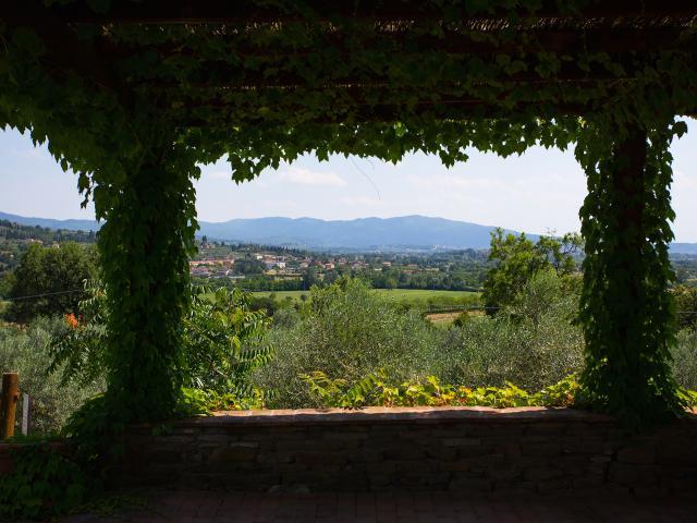 Enchanting Countryside Estate in Arezzo
