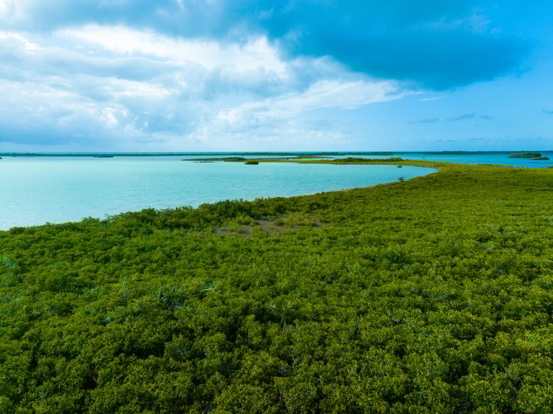 Rancho Del Cielo Maya