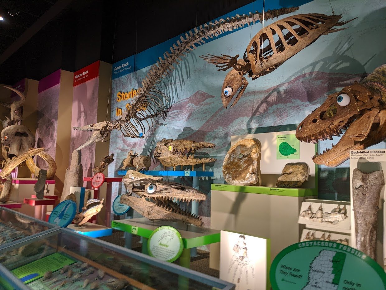 What I love about our area