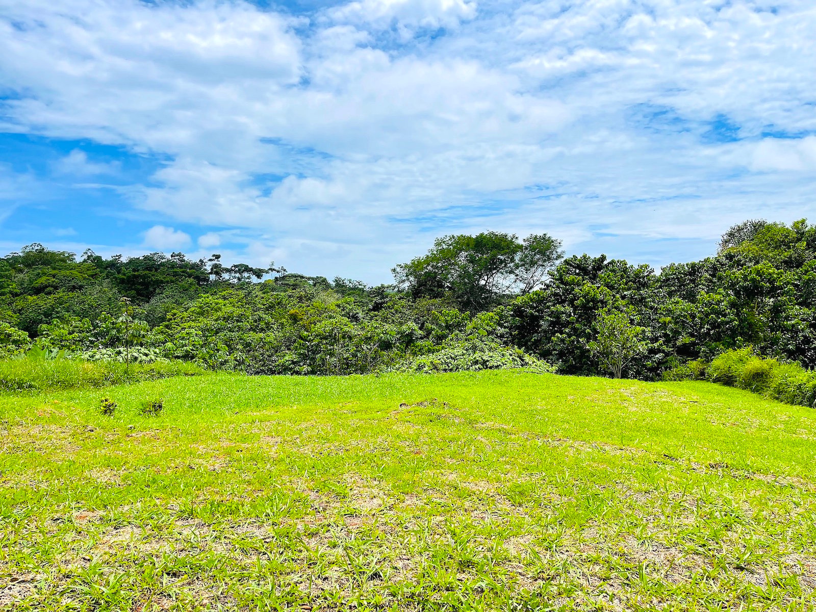 MOUNTAIN VIEW PROPERTY – PHASE 11 LOT 25 – 1.67 Acres