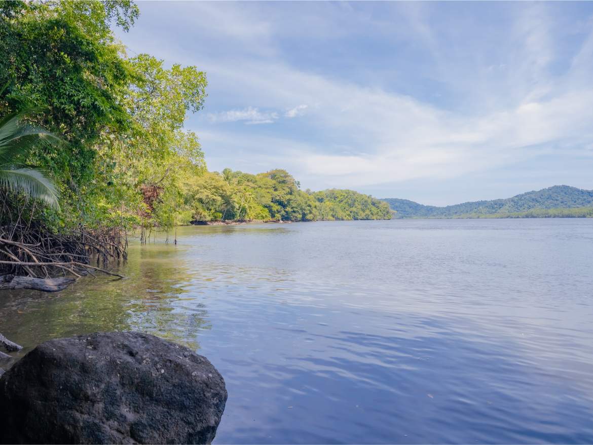 247 Acres of Riverfront Rainforest with Hospitality Potential - Sarangundí Eco-Development Sanctuary Near Corcovado