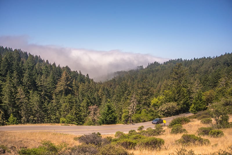 Fog rolling over the forested ridgeline of Mount Tamalpais along the Panoramic Highway in Marin County