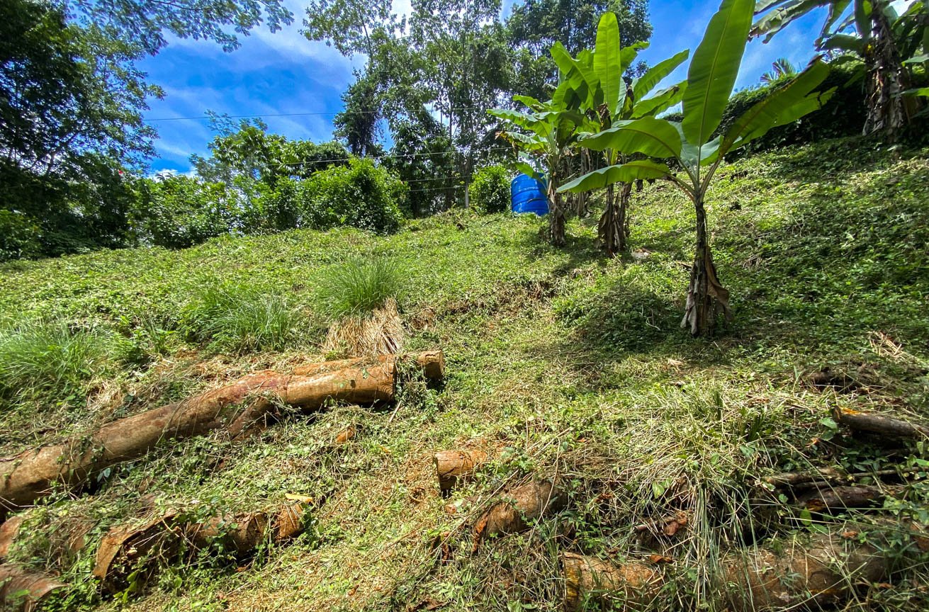 Large Uvita Lot With Whale’s Tail Ocean Views, Sunsets & Legal Water – Ready to Build!