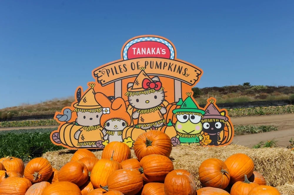 Pumpkin display with a Tanaka’s Piles of Pumpkins sign and costumed cartoon characters.