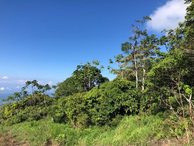 1.24 ACRES – Alto de San Juan, TOP OF THE WORLD VIEWS, Cool Breezes, Ready to Build Your Dream!!!!!
