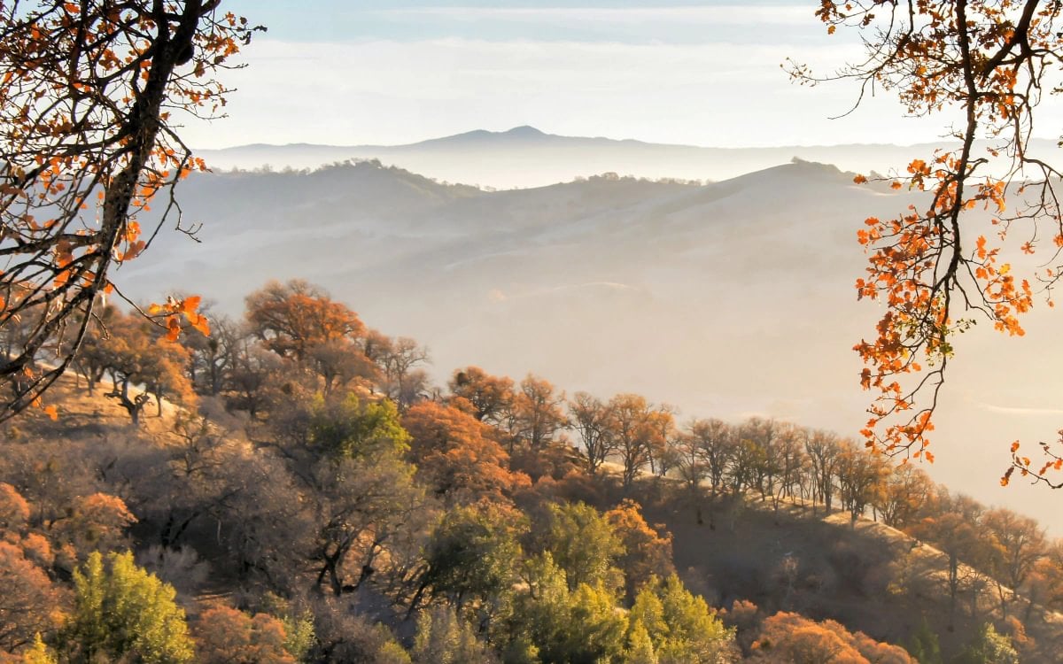 Santa Clara County