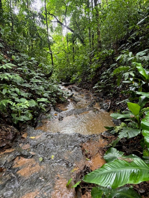 17.85 ACRES – Stunning Large Land With 2 Waterfalls Near Dominical Beach!!!