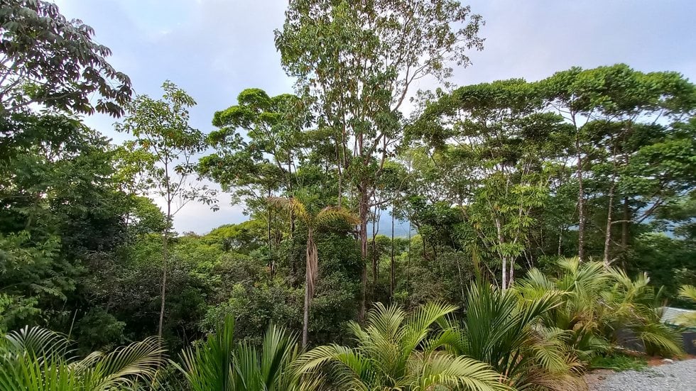 New Home and Guest Villa near Tinamastes Alfombra