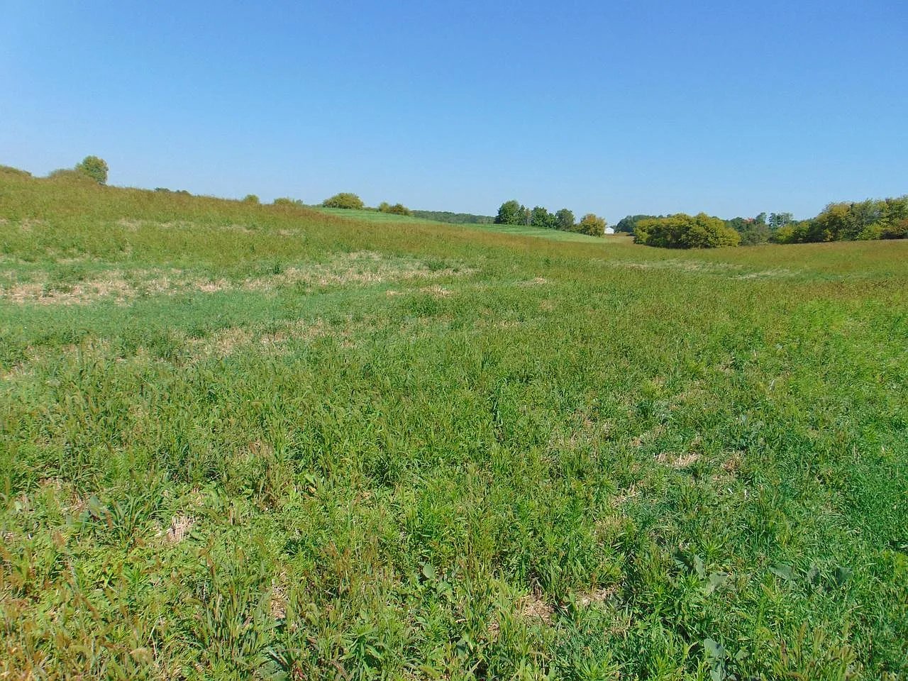 Lot 12 Maple Tree Rd
