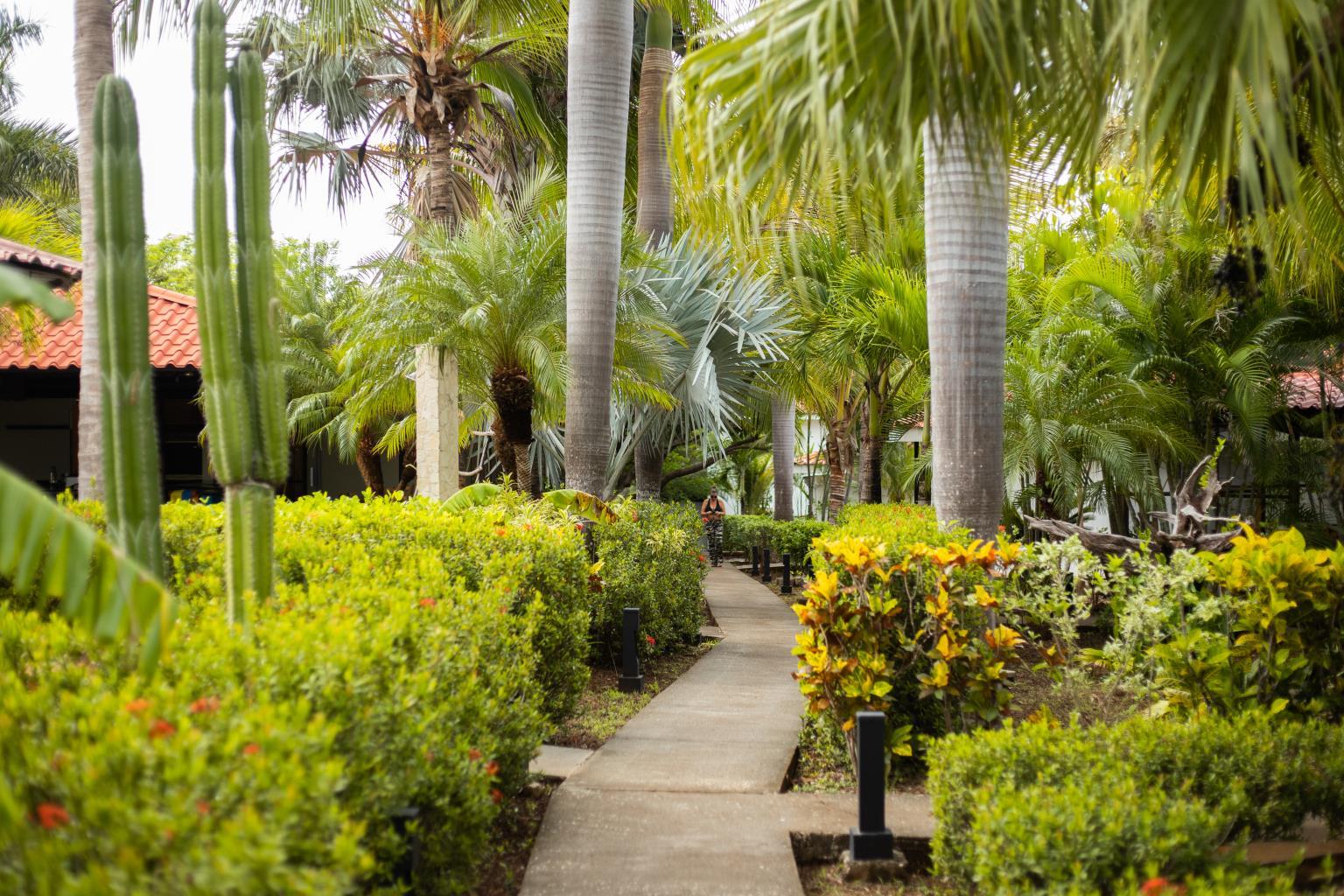 Drift Away Lodge | Near the Coast Hotel/Resort/Hostel For Sale in Playa Avellanas