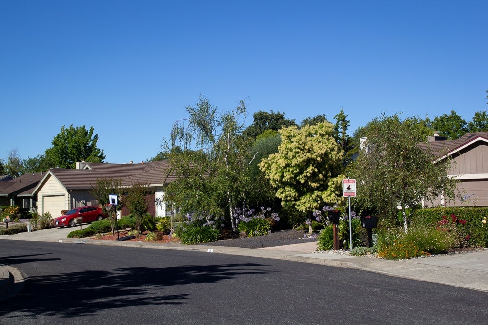Walnut Creek