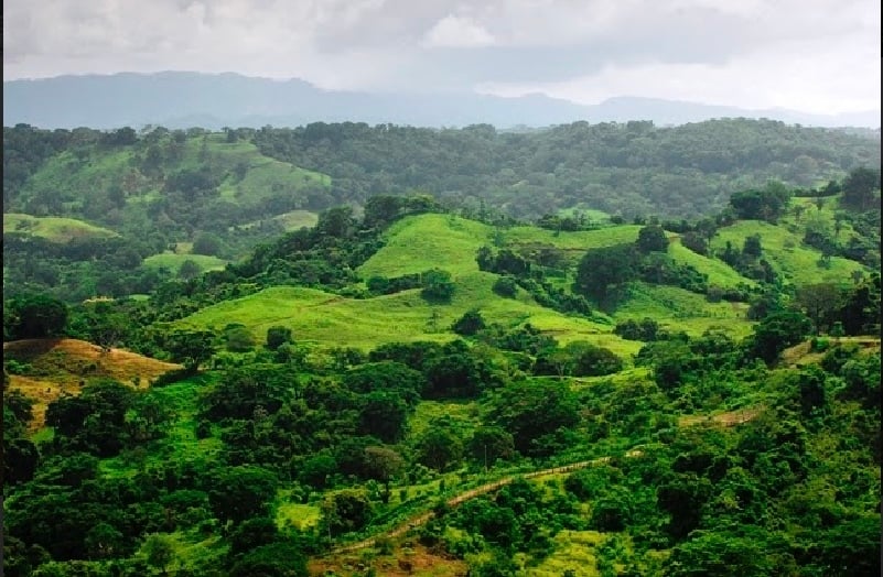 Large Development Parcel, Santa Teresa, Puntarenas