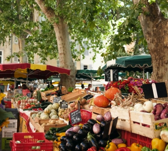 Outdoor farmers market with colorful produce beneath leafy trees.