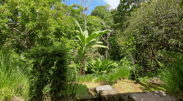 Tropical Hacienda with Breathtaking Whitewater Views in Most Desirable Gated Community in Ojochal