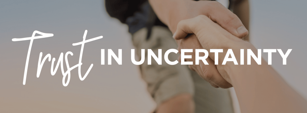 Trust in Uncertainty