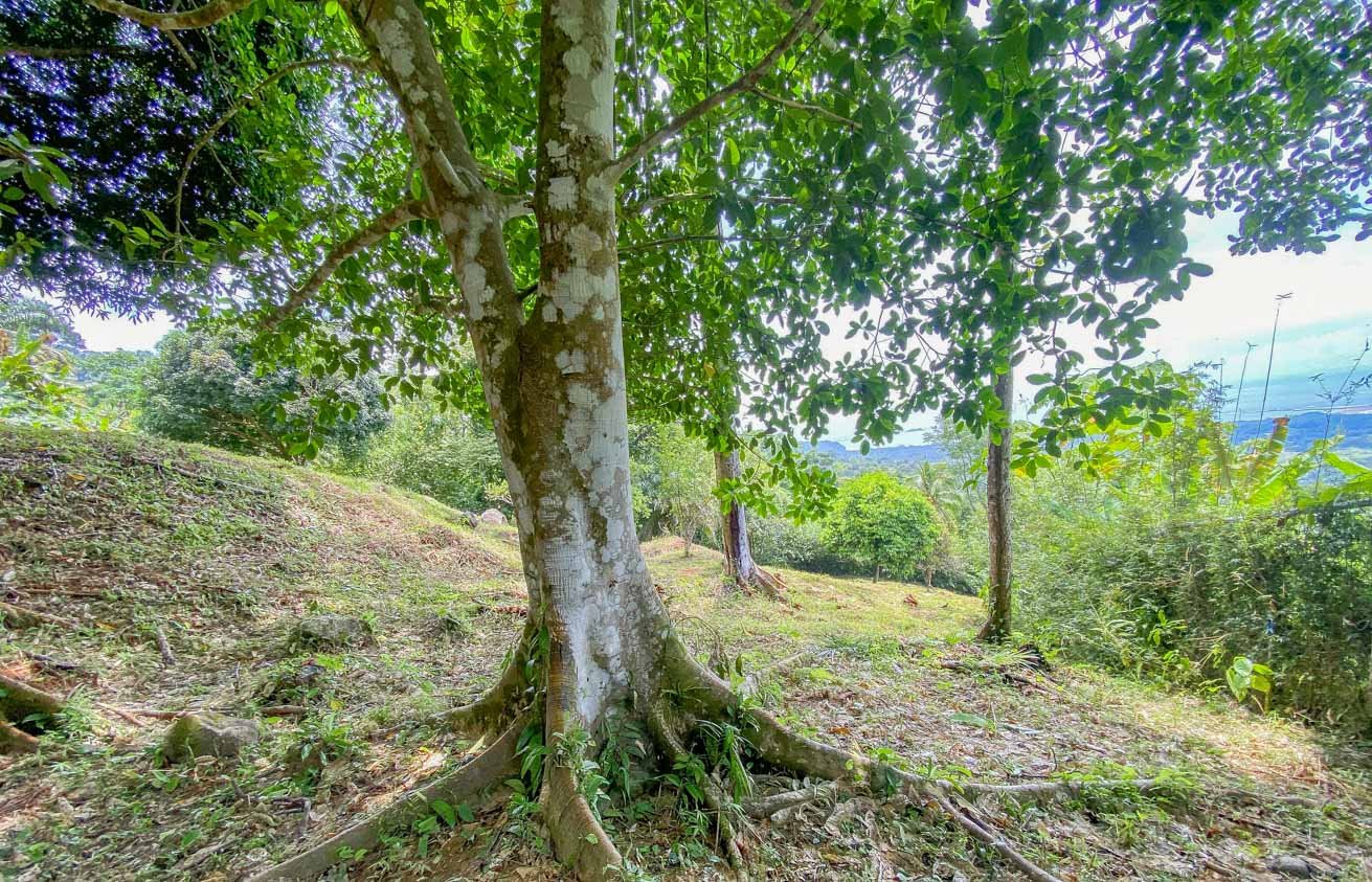 Large Uvita Lot With Whale’s Tail Ocean Views, Sunsets & Legal Water – Ready to Build!