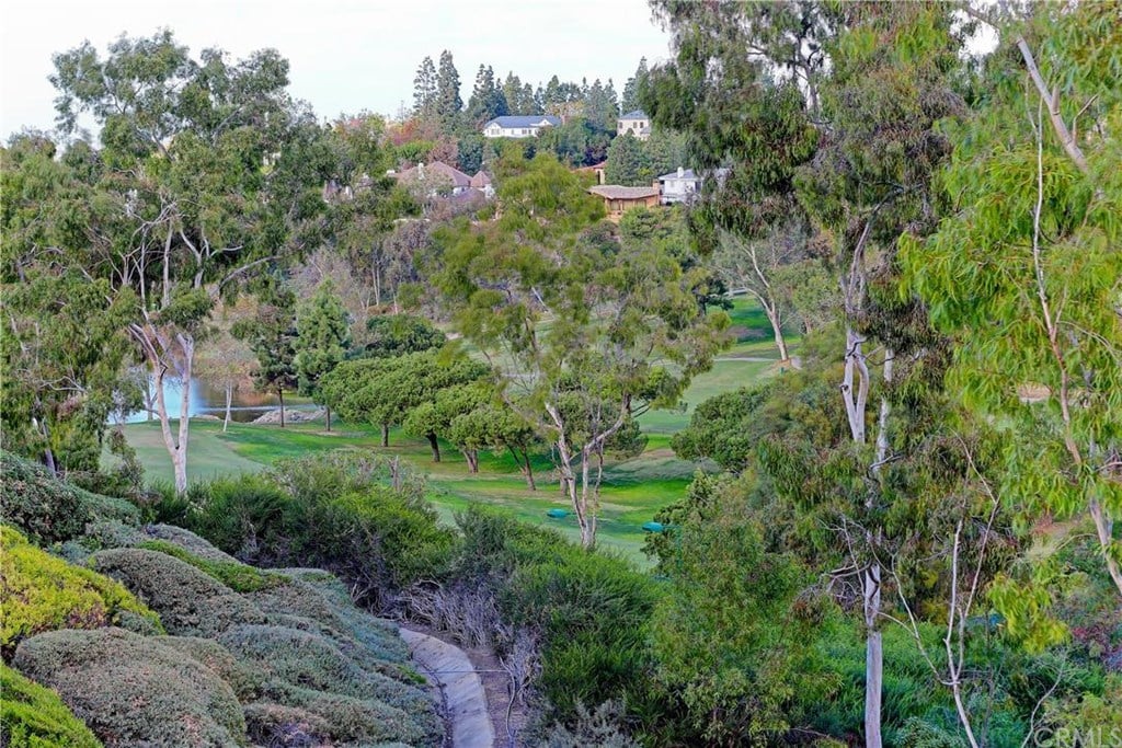 30 Canyon Fairway Dr, Newport Beach, CA 92660