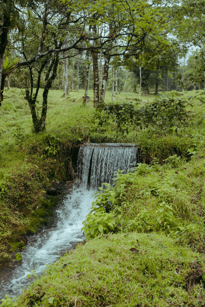 Finca Rincon De La Vieja, 61 Acre Costa Rican Paradise