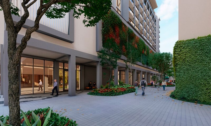 Cassia Coral Gables