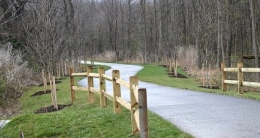 Broadneck Trail
