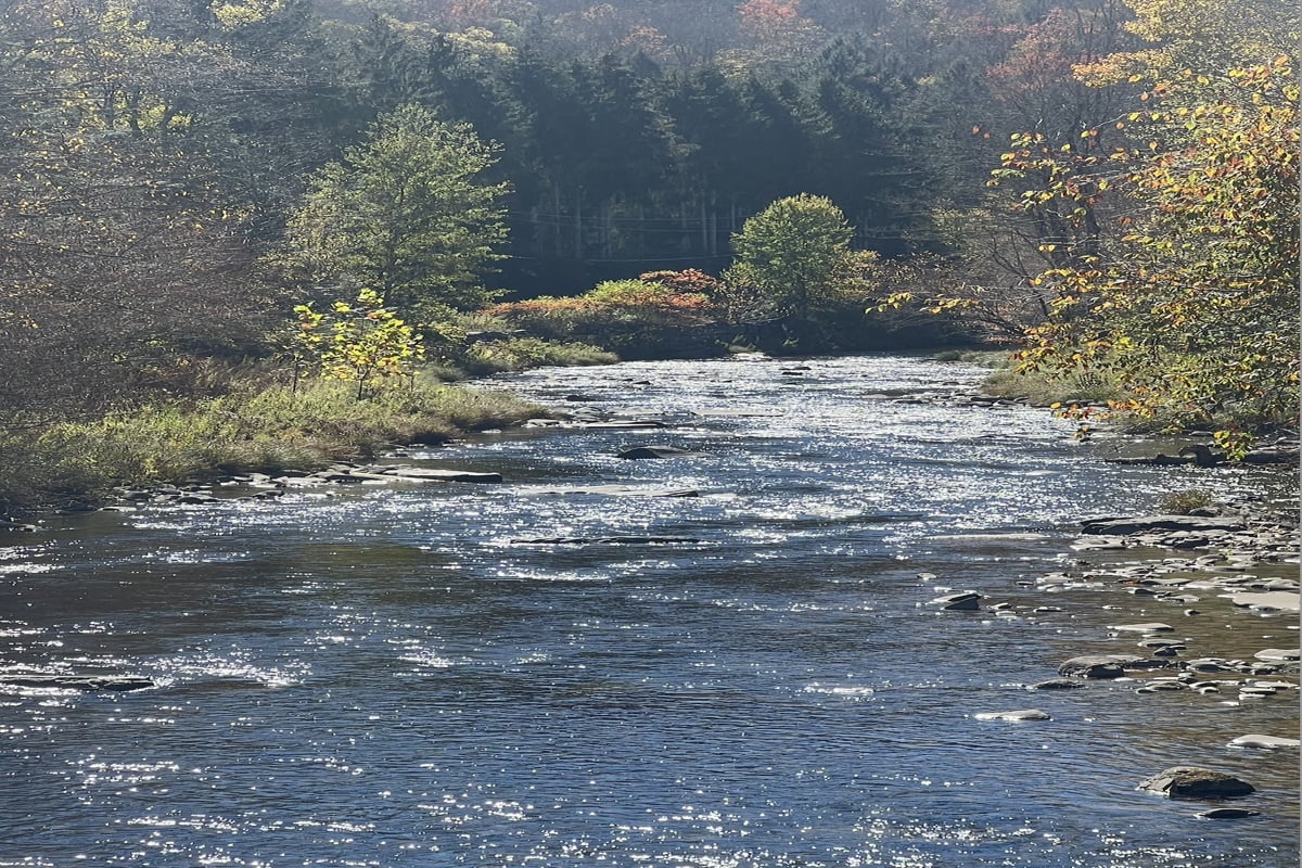 Scenic Catskills trout stream near Beaverkill Falls Drive in Hardenburgh, NY surrounded by autumn trees and clear mountain water — luxury homes and fishing retreats in the Catskills.