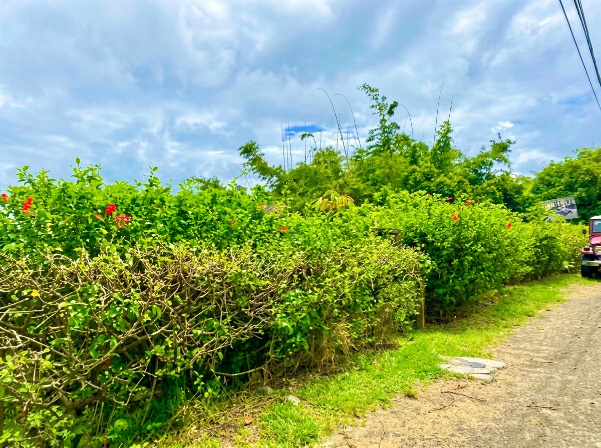 Prime Manuel Antonio Ocean-View Land with Development Approvals 