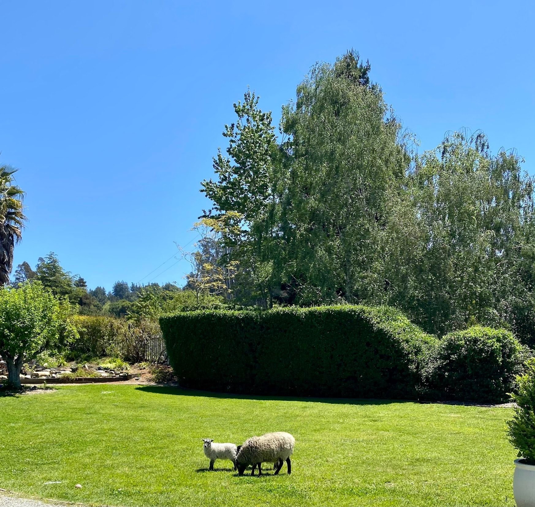 3999 Cherryvale Avenue | Soquel, California