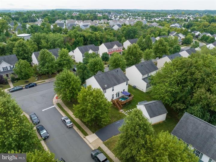What's Happening in Lovettsville This Summer (And Why It's Worth Clearing Your Calendar)