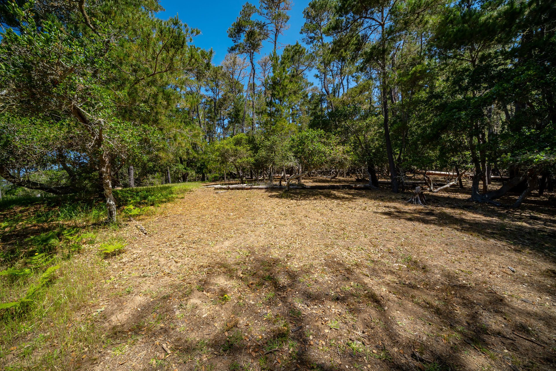 Serene Cambria Lot
