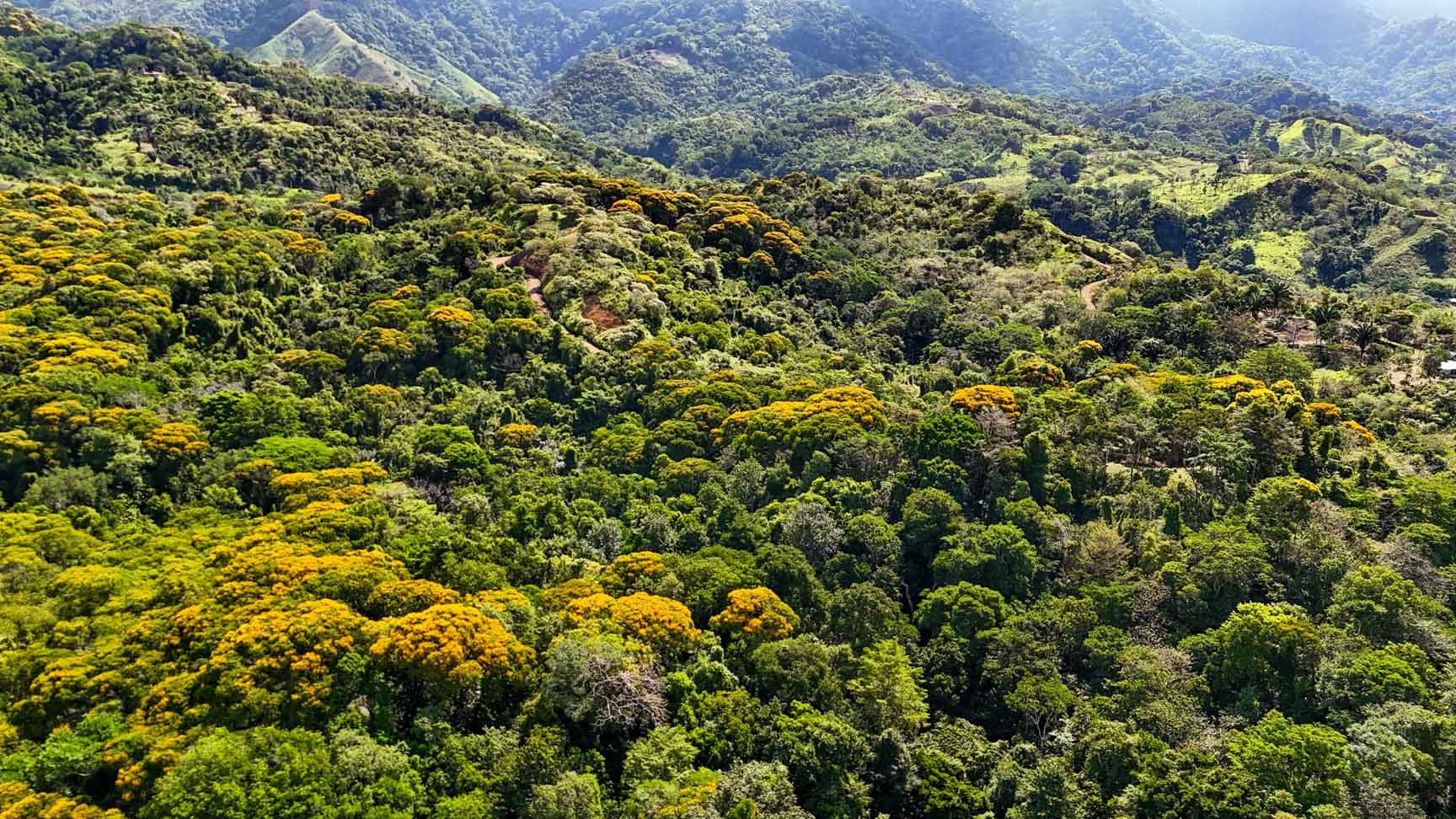 32-Acre Self-Sustainable Off-Grid Farm Near Ojochal with House, Solar Power & River